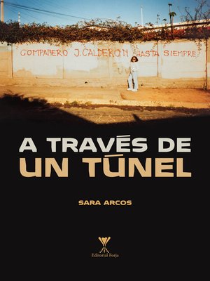 cover image of A través de un túnel
